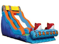 Big Kahuna Slide from Oliver Entertainment and Caterting serving Northern Virginia, Washington DC and Maryland